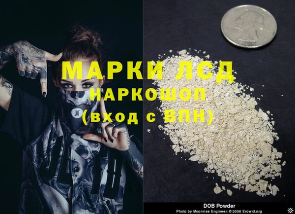 прущие грибы Абдулино