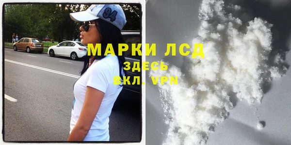 прущие грибы Абдулино