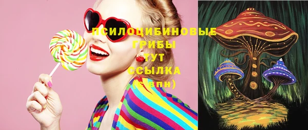прущие крисы Абинск