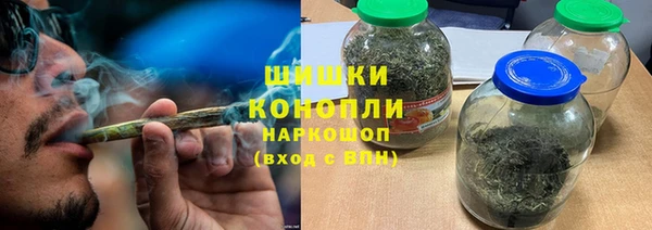 прущие грибы Абдулино