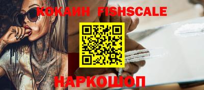 гидропоника Пенза