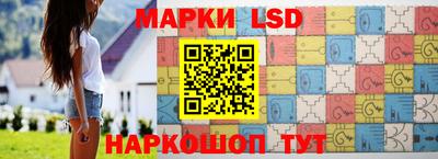 гидропоника Пенза