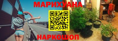 гидропоника Пенза