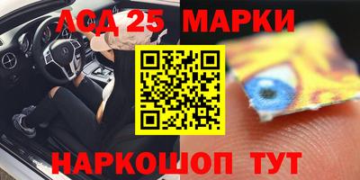 гидропоника Пенза