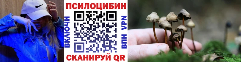 кракен рабочий сайт  Сызрань  Псилоцибиновые грибы ЛСД 