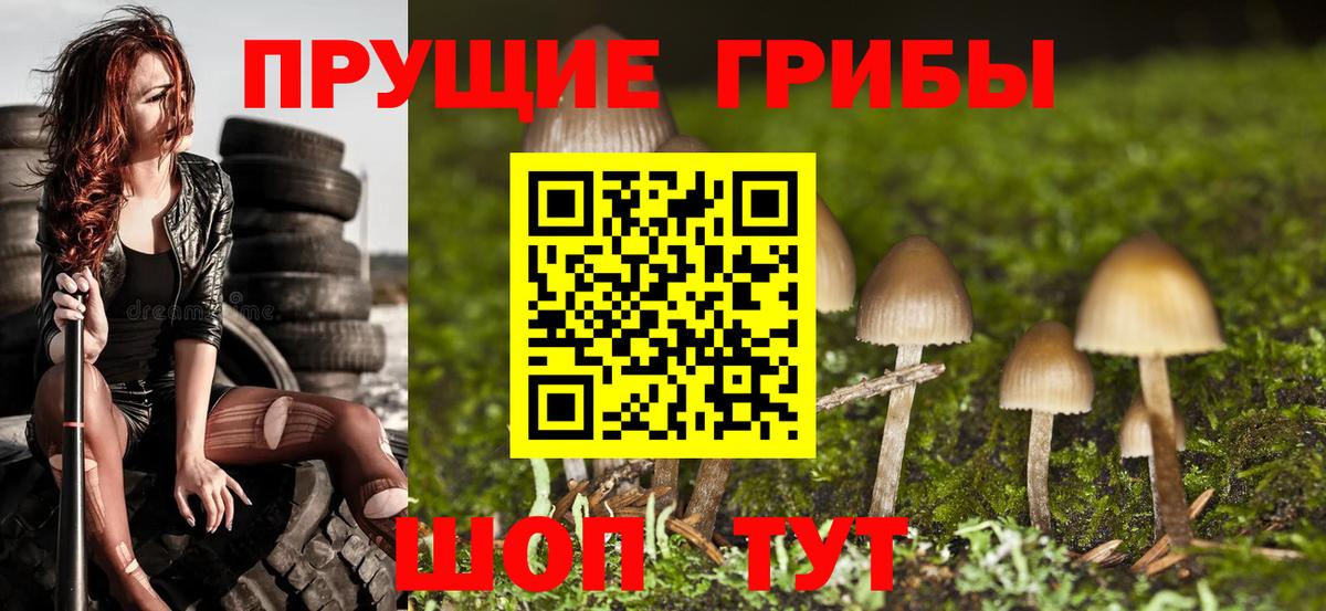 Псилоцибиновые грибы прущие грибы  Вход с VPN  Сызрань 