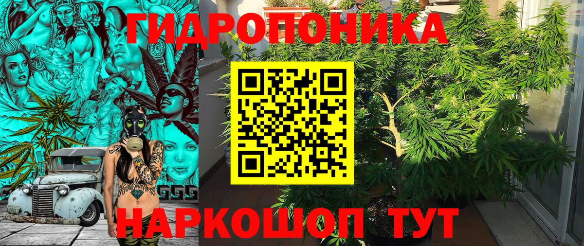 Канабис сатива Сызрань